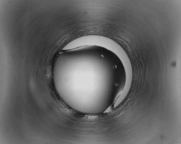 X0000099420665200805301408