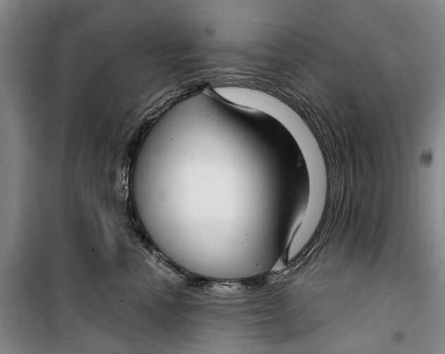 X0000099420666200805301408