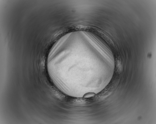 X0000099420668200805301408