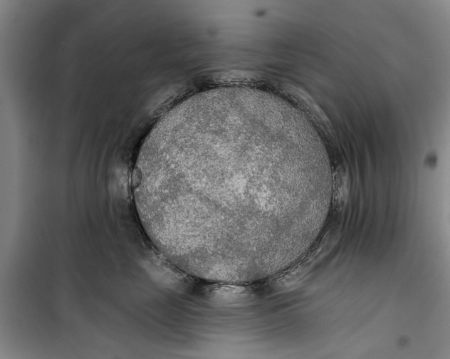 X0000099420669200805301408