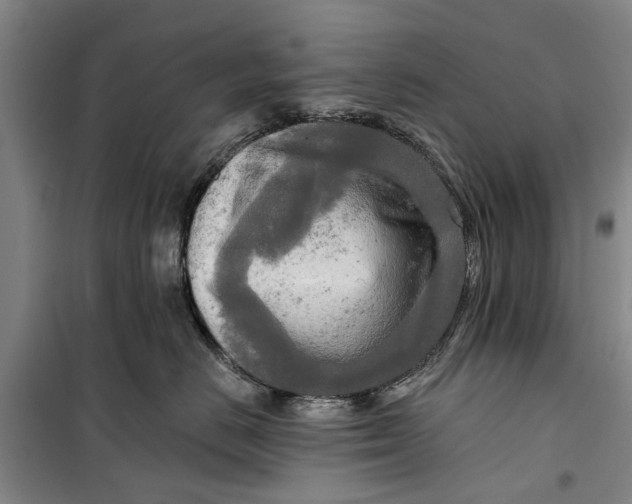 X0000099420670200805301408