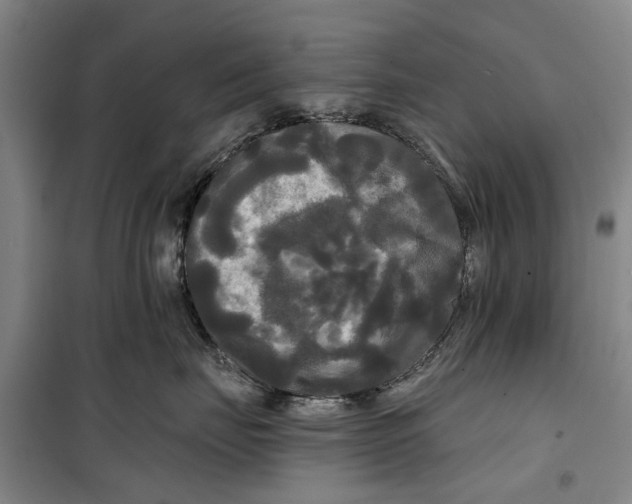 X0000099420671200805301408