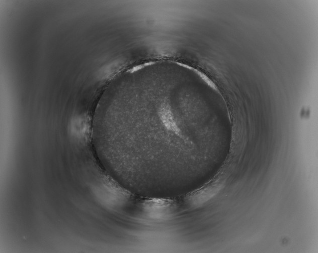 X0000099420672200805301408