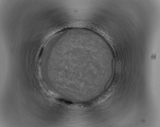 X0000099420673200805301408