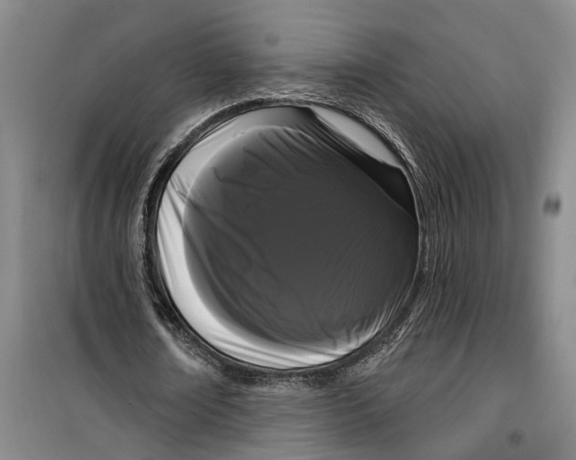 X0000099420674200805301408