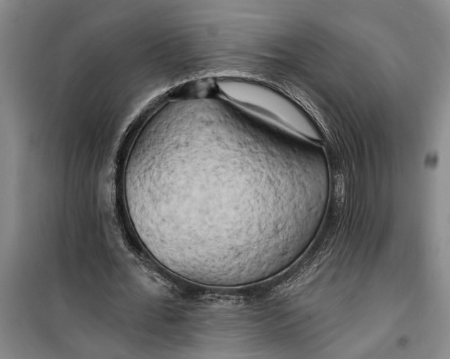 X0000099420676200805301408