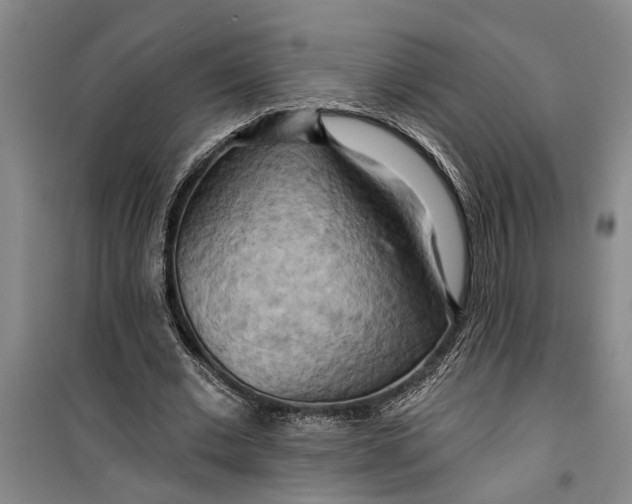 X0000099420677200805301408