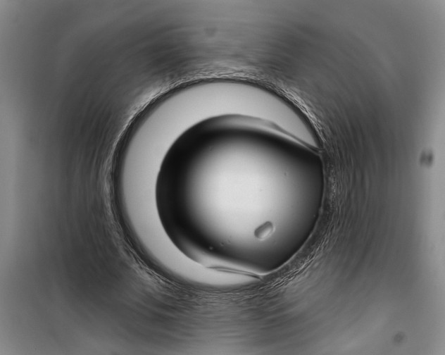 X0000099420679200805301408