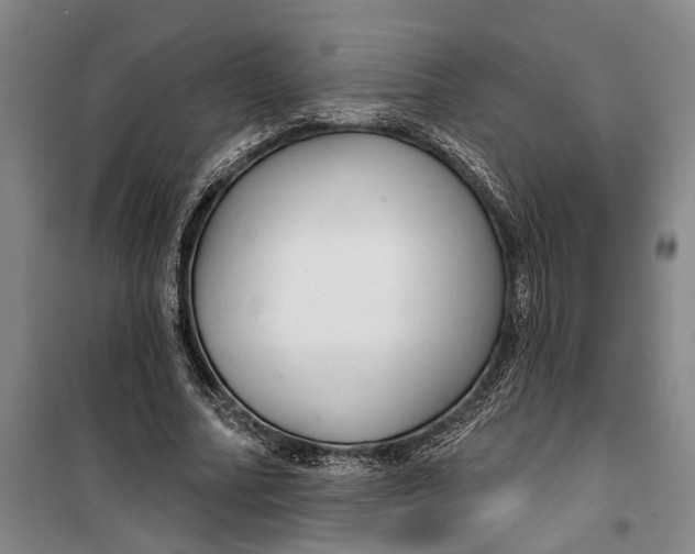 X0000099420682200805301408