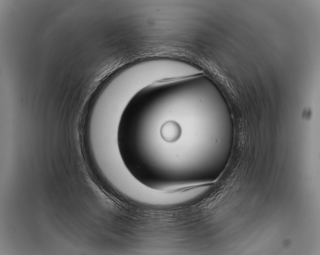 X0000099420683200805301408