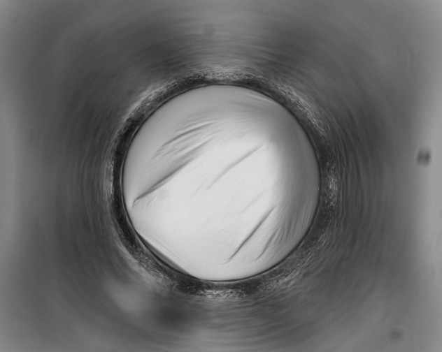 X0000099420686200805301408