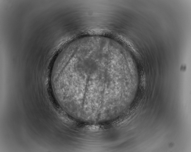 X0000099420687200805301408