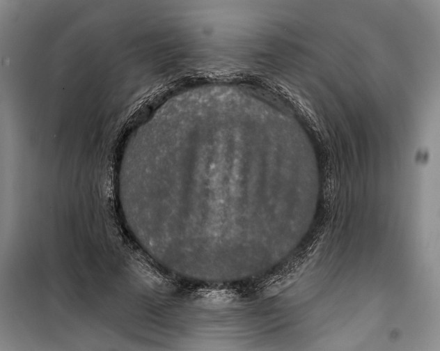 X0000099420689200805301408