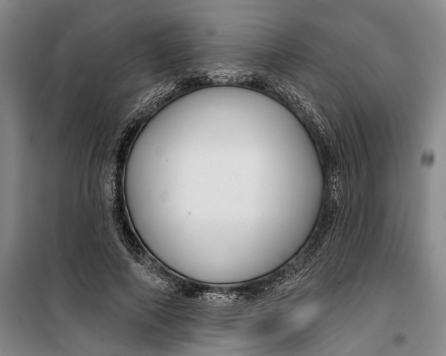 X0000099420690200805301408