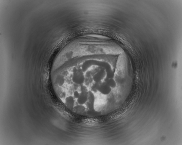 X0000099420691200805301408