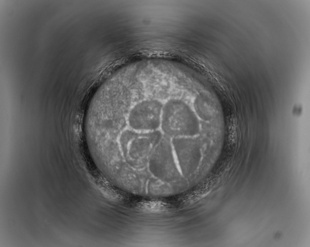 X0000099420695200805301407