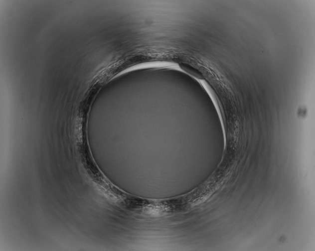 X0000099420696200805301407