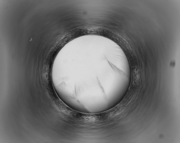 X0000099420698200805301407