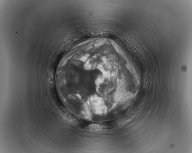 X0000099420699200805301407