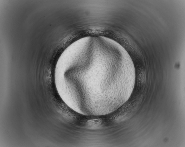 X0000099420700200805301407