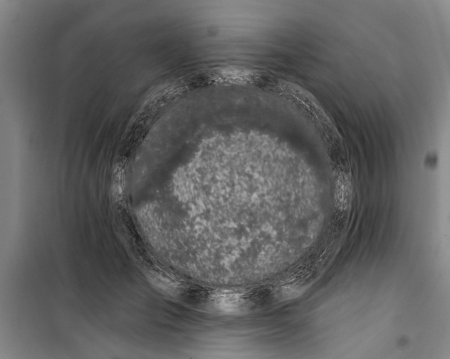 X0000099420701200805301407