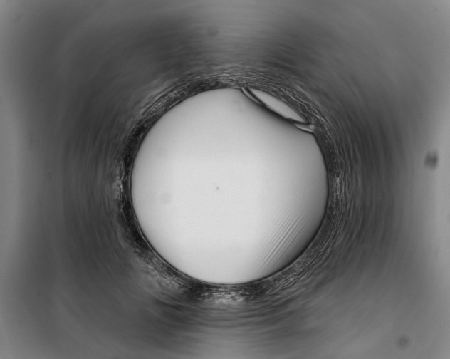 X0000099420702200805301407