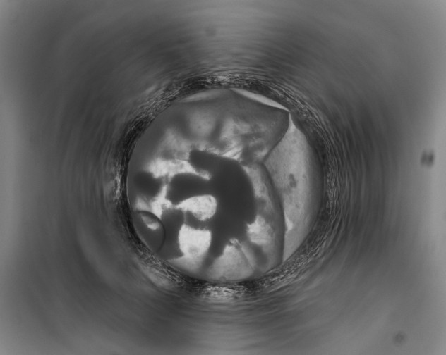 X0000099420703200805301407