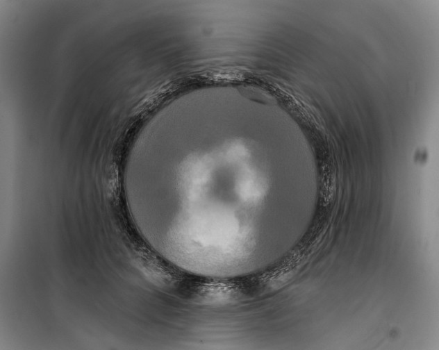 X0000099420704200805301407