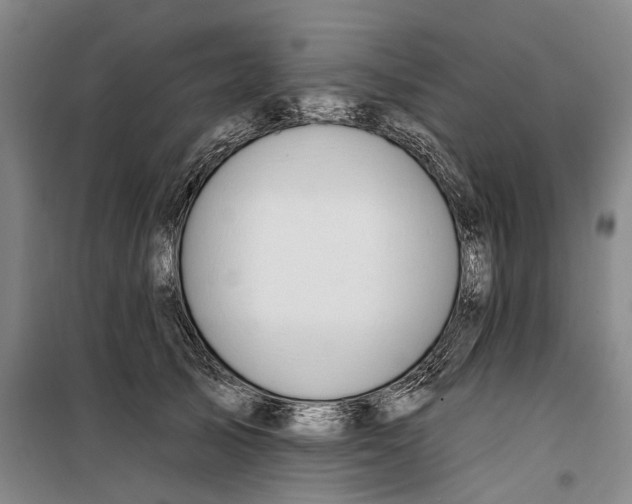 X0000099420705200805301407