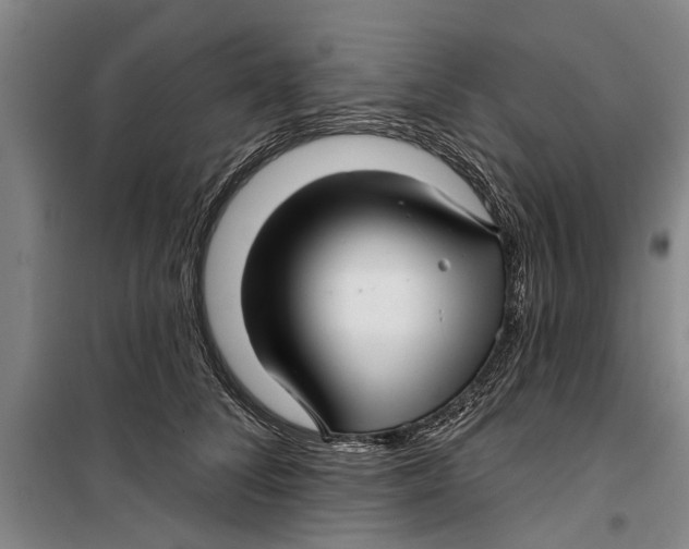 X0000099420708200805301407