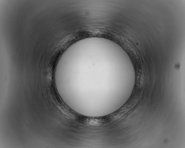 X0000099420710200805301407