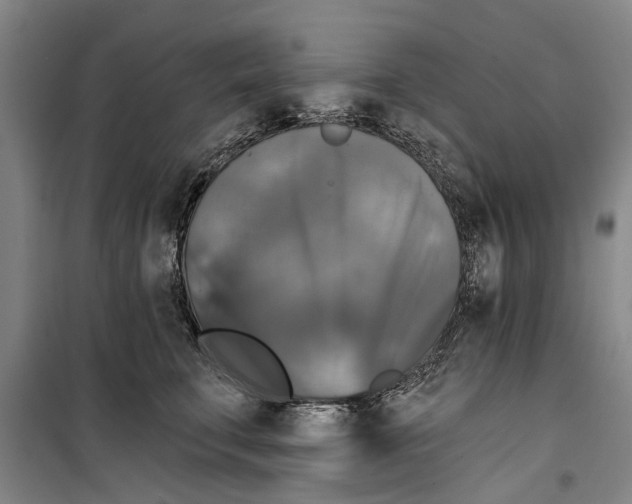 X0000099420711200805301407