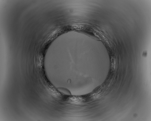 X0000099420712200805301407