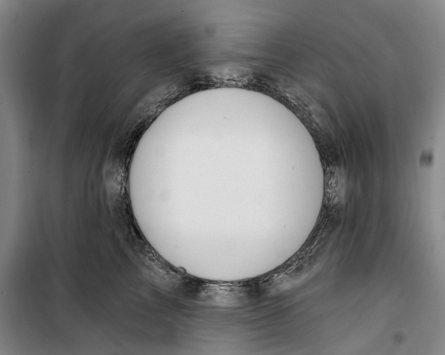 X0000099420713200805301407