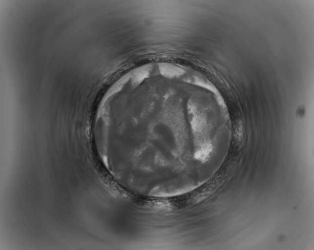 X0000099420715200805301407