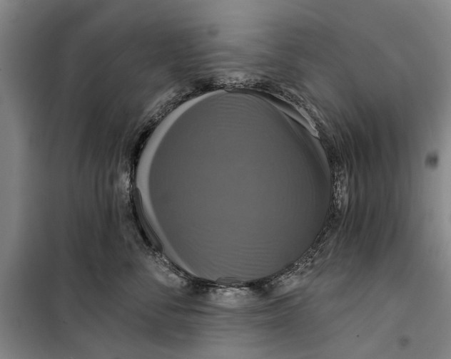 X0000099420716200805301407