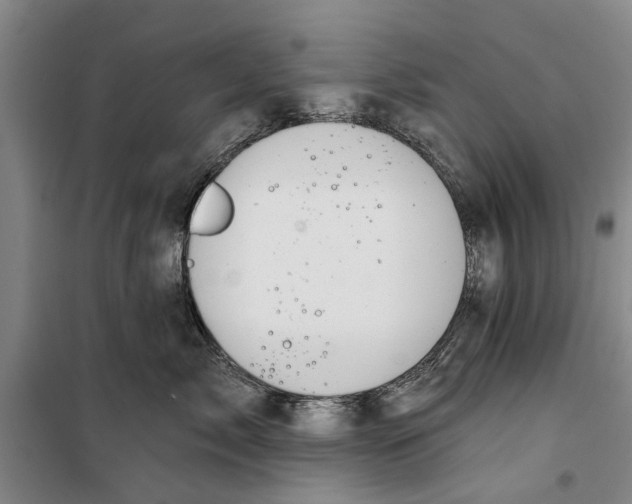 X0000099420717200805301407