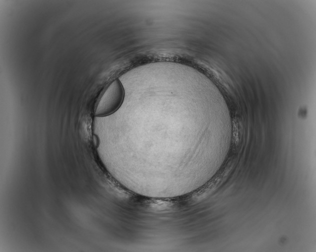 X0000099420718200805301407