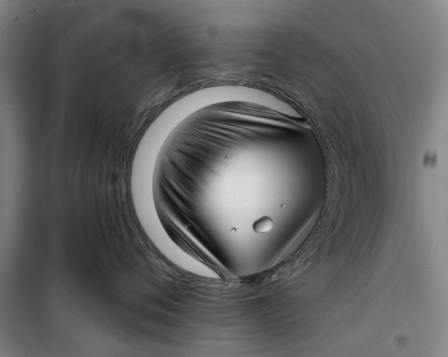 X0000099420720200805301407