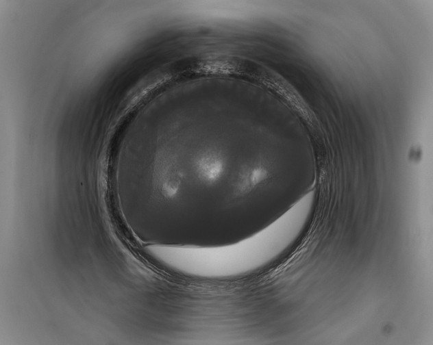 X0000099420722200805301406