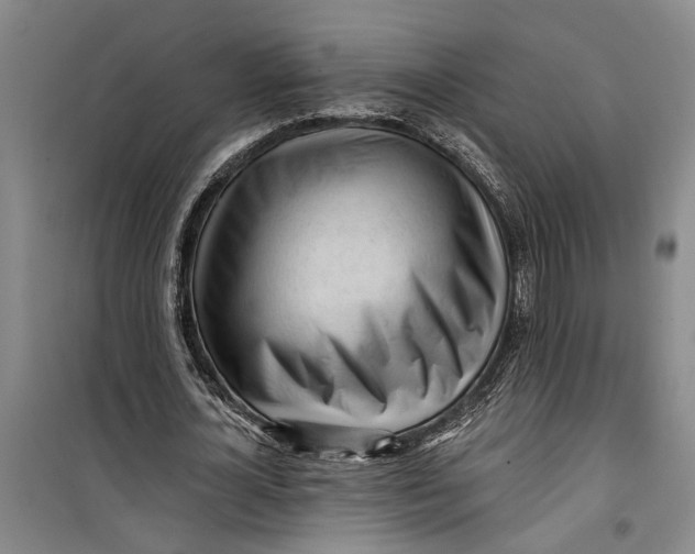 X0000099420724200805301407