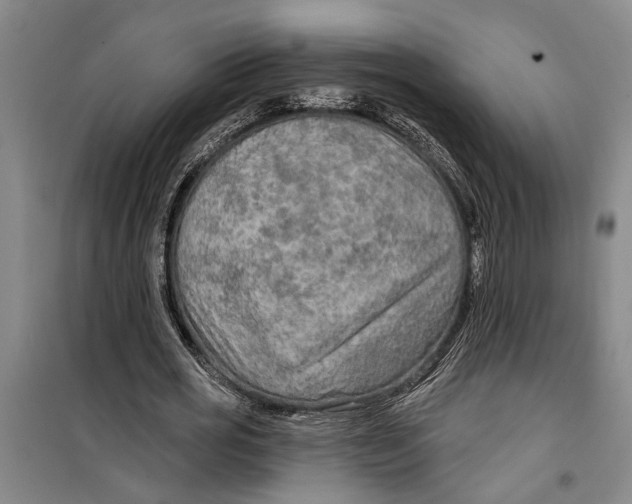 X0000099420725200805301407