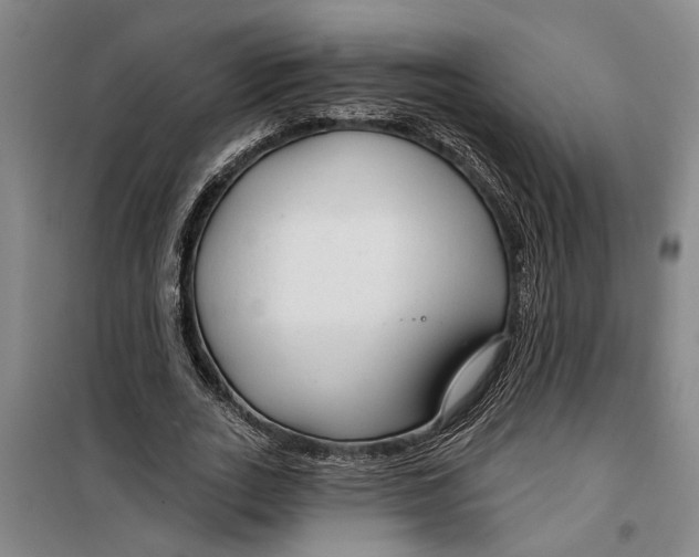 X0000099420727200805301407