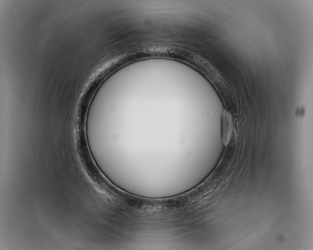 X0000099420728200805301407