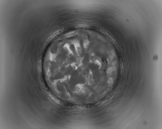 X0000099420729200805301407