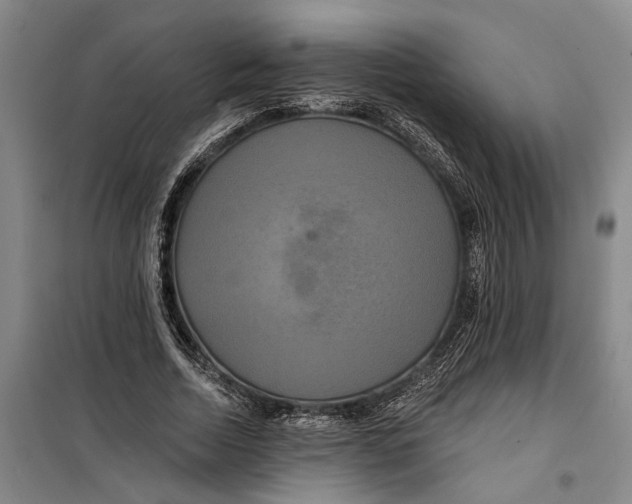 X0000099420730200805301407