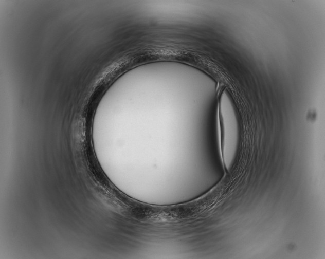 X0000099420731200805301407