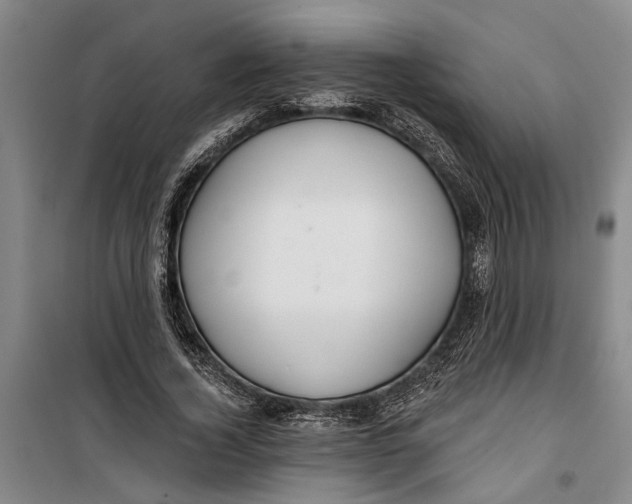 X0000099420732200805301407