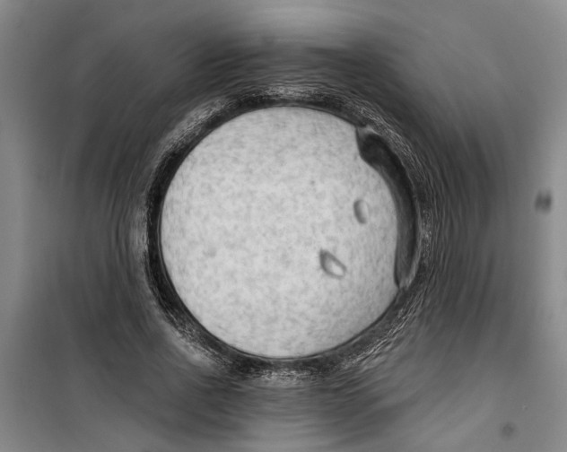 X0000099420734200805301407