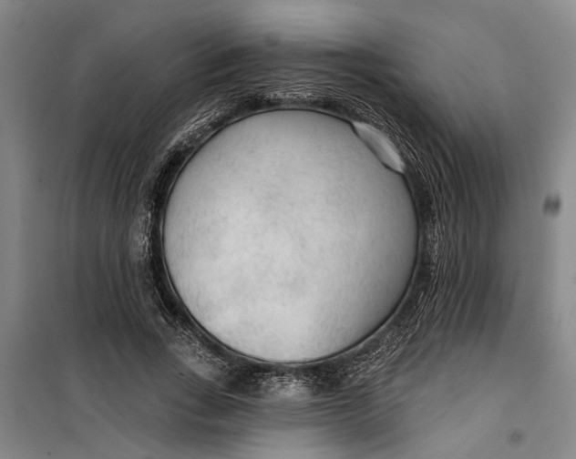 X0000099420735200805301407